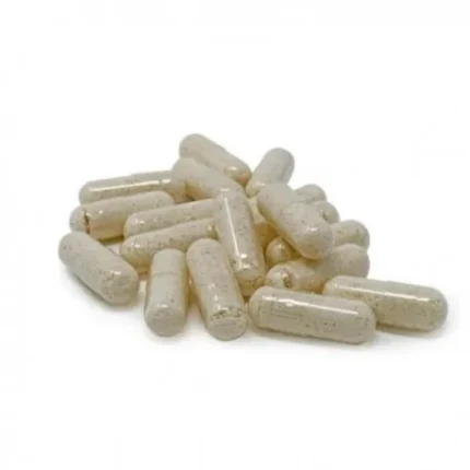 Mushroom Microdose Capsules