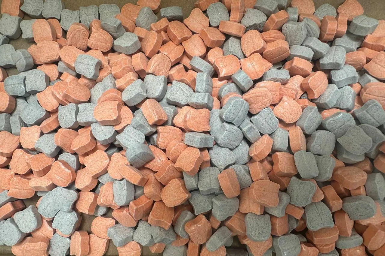 250MAG MasterChefs pills for sale